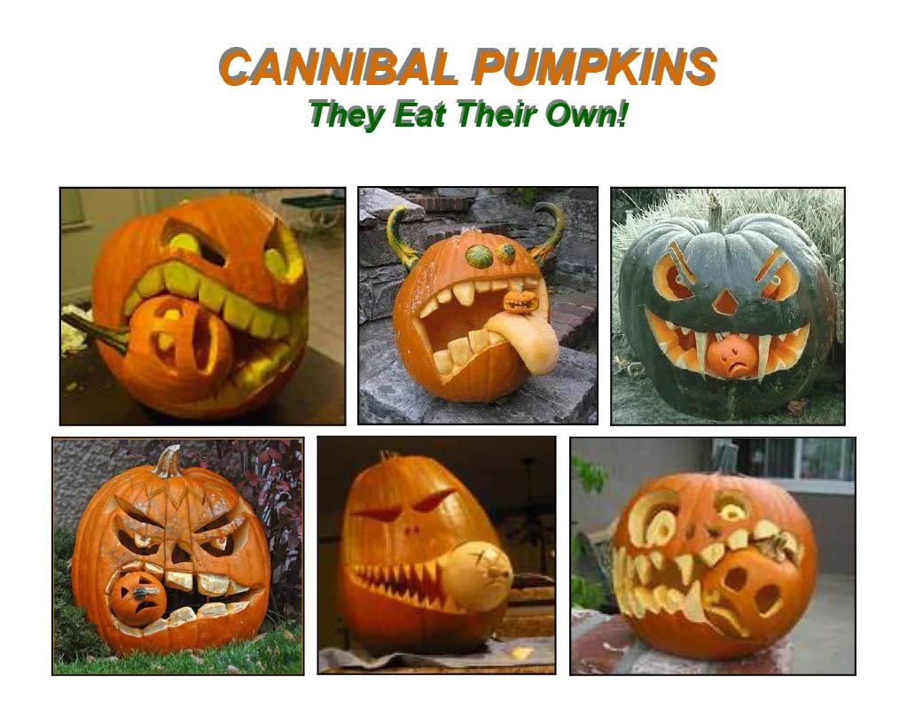 CANNIBAL PUMPKINS.webp