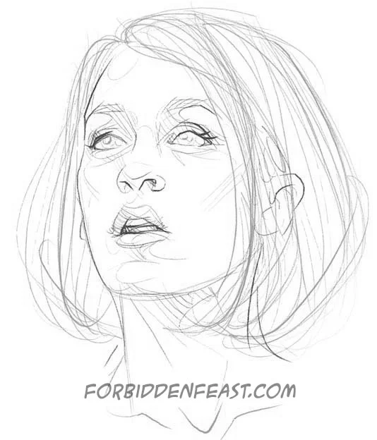 forbiddenfeast-fruitbasketkiller-portraitofavictim-stage1-slkocntose.webp
