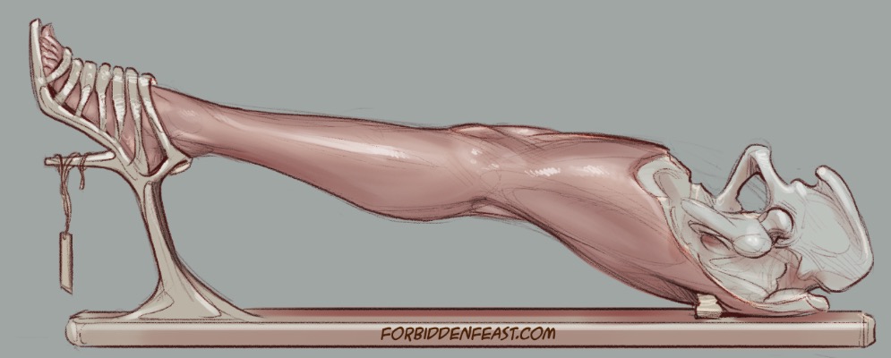 forbiddenfeast-slenderharvest-stage2b-kcutpa73ka.jpg